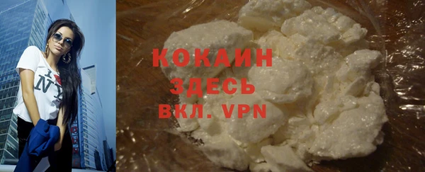 шишки Богданович