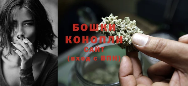 шишки Богданович