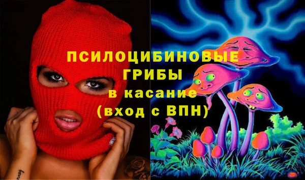 ПСИЛОЦИБИНОВЫЕ ГРИБЫ Богородицк