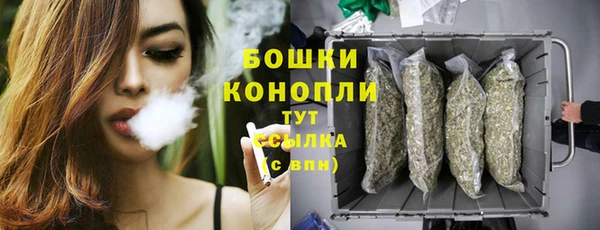 шишки Богданович